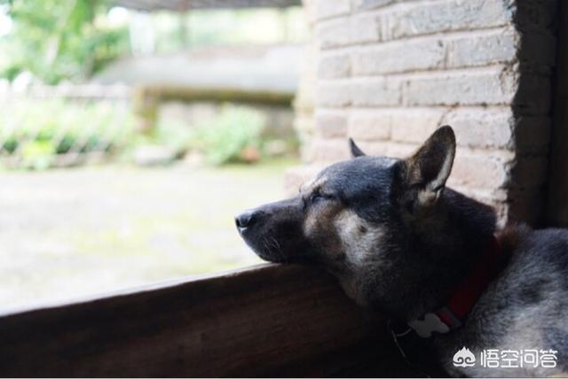 今天夏至,夏至如何养生大家一起来探讨