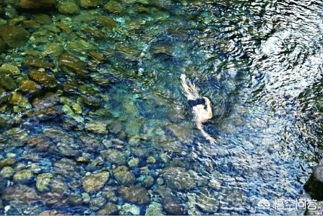 今天夏至,夏至如何养生大家一起来探讨