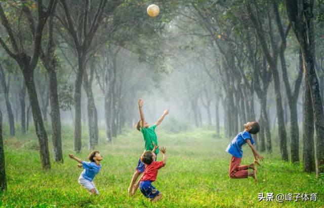 孩子应该如何安排体育运动