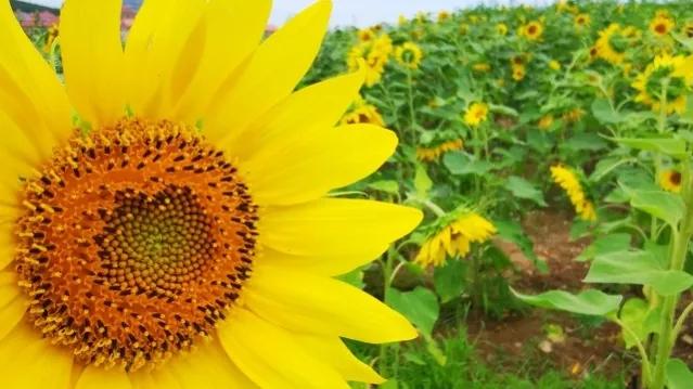 失去朋友该挽回:身处低谷期所有的朋友都失去了该怎么办