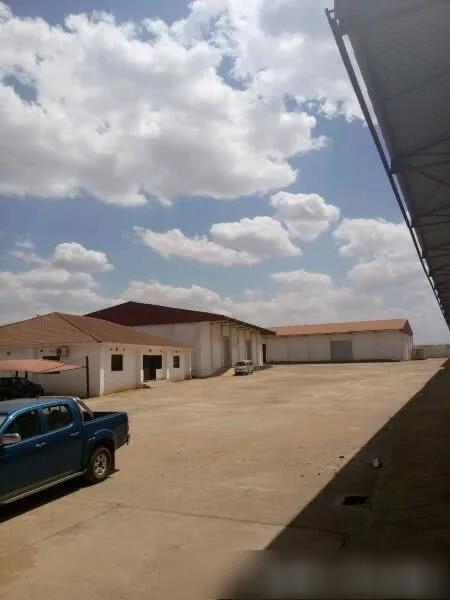 去非洲打工时,你见过的当地黑人胆子大到什么程度