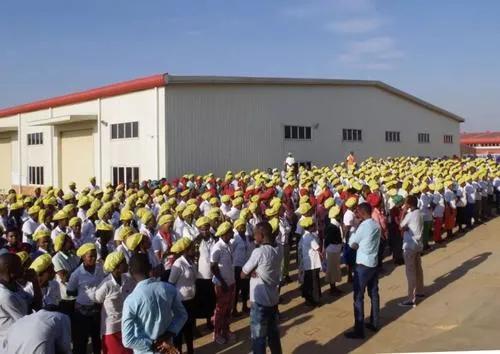 去非洲打工时,你见过的当地黑人胆子大到什么程度