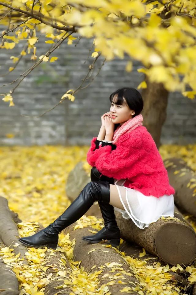 《被爱情遗忘的角落》故事情节和主要演员