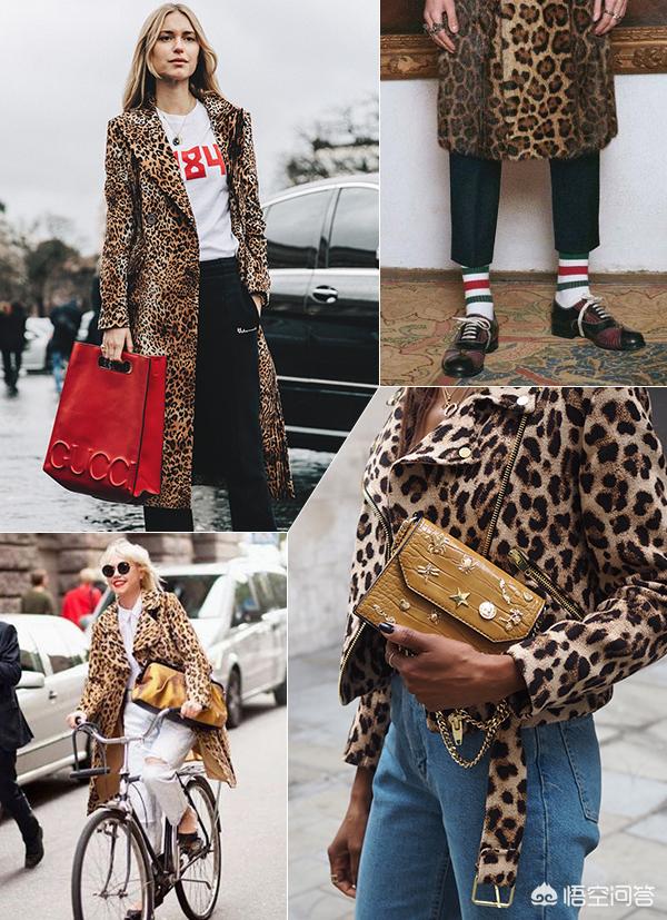 金晨算不算特别漂亮的女明星