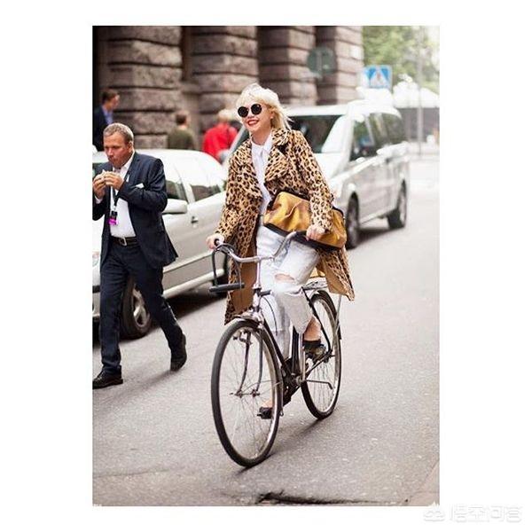 金晨算不算特别漂亮的女明星