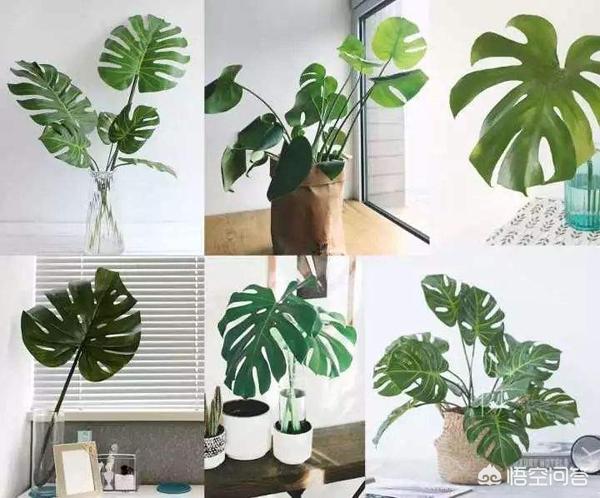 如何打造一个简约式北欧风的家