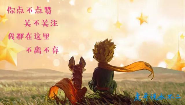 豹纹花裤搭配什么上衣好看