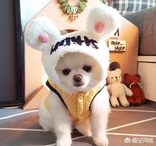 1.5米的小个子女生怎么穿衣搭配