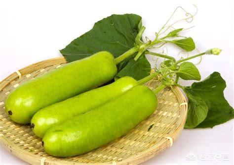 穿十几块的短袖衫会不会很丢人