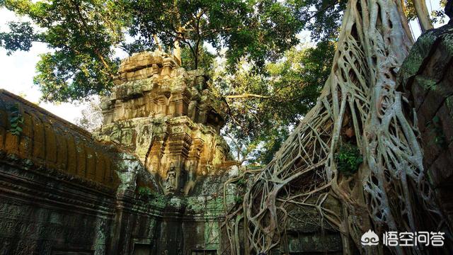 在吴哥窟穿什么色系的衣服拍照好看