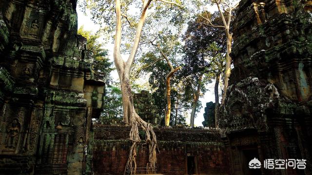 在吴哥窟穿什么色系的衣服拍照好看