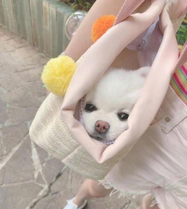 戴粉帽子的许佳琪好好看,肤白气质甜美,休闲装也挡不住的魅力