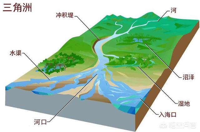 电影《鸣梁海战》中的李舜臣,同时期中国的哪位名将能势均力敌