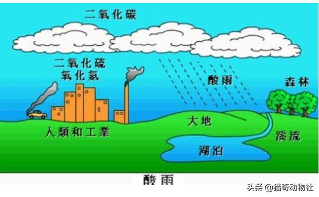 天上下的雨能不能直接饮用有毒吗