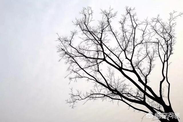 挽回家庭的专家:丈夫应该如何挽回已经对自己没有感情的妻子(七招教你挽回夫妻感情)