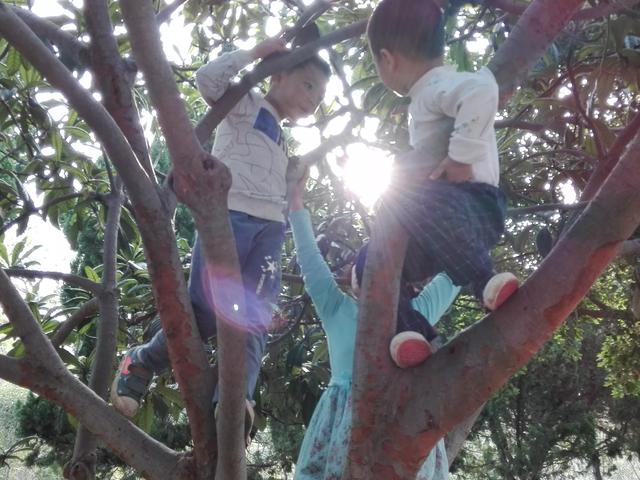 幼儿园老师把小班的孩子关在厕所里,身体上到处是大便合法吗