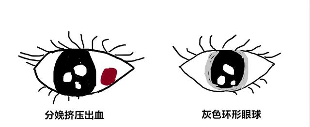 产后可以做哪些养生,坐月子第一周,公鸡和母鸡哪种更"养身"