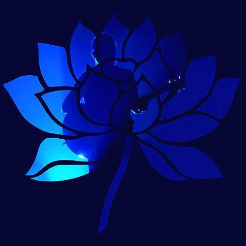 十多年来只有许巍的《蓝莲花》百听不厌,有喜欢这首歌的朋友吗