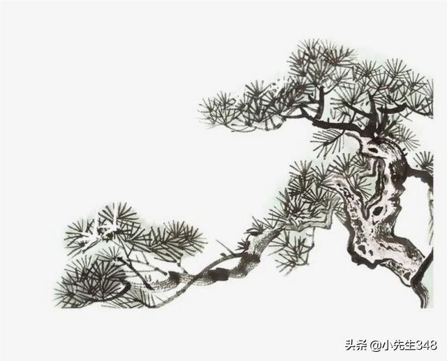 请大师们看这幅松树图有何评价