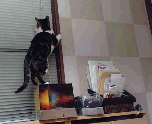 语言表达能力 宝贝回家不爱讲幼儿园里发生的事情怎么办