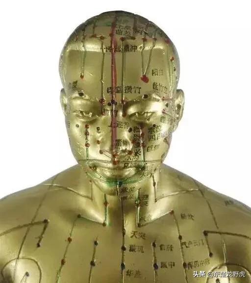 十四经络养生作用五脏六腑经脉脉络图什么方式能使五脏六腑恢复正常