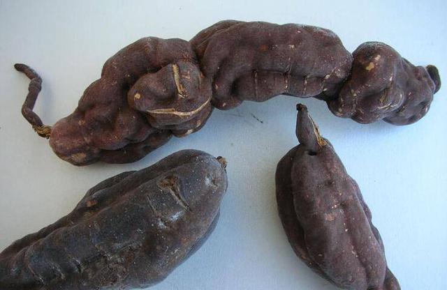 养生白发变黑,生姜能让白发变黑吗,只用生姜就可以吗