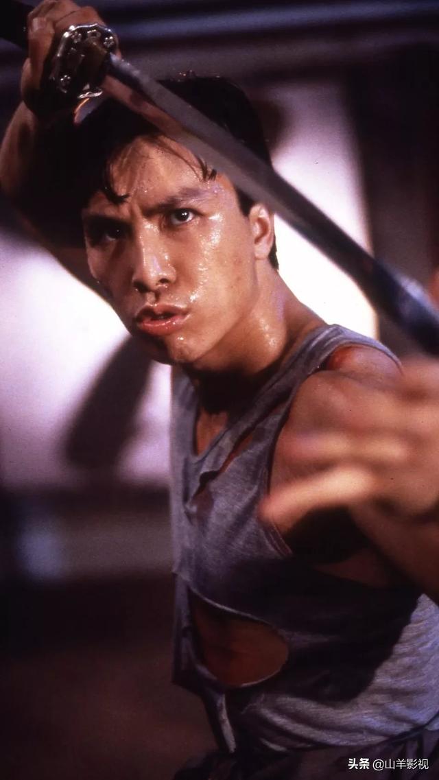 甄子丹打得最凶的电影有哪几部