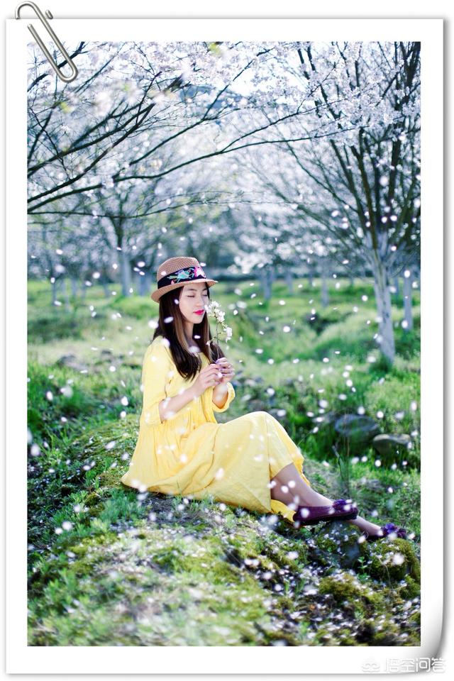 利用樱花拍摄人物照穿什么颜色的衣服比较好