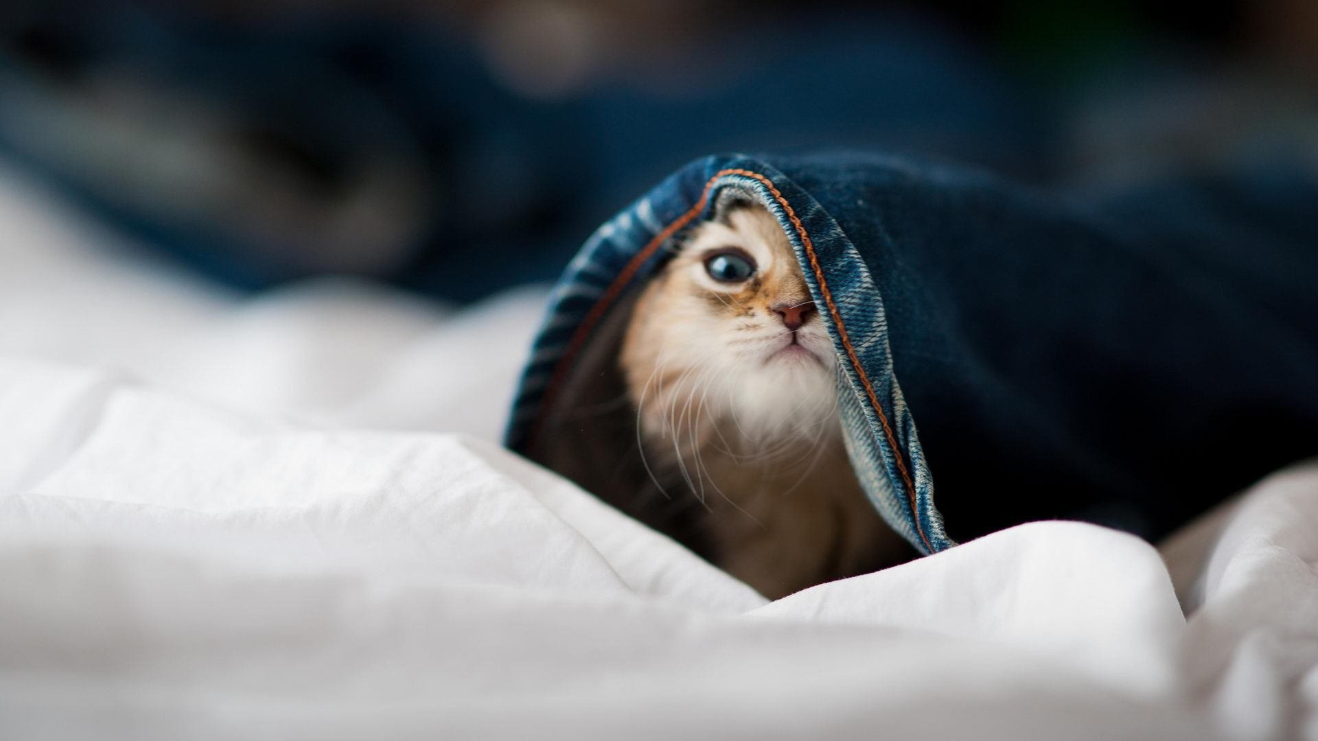 老婆有外遇心死要离婚我不同意怎么办(女方出轨怎么挽回老公)