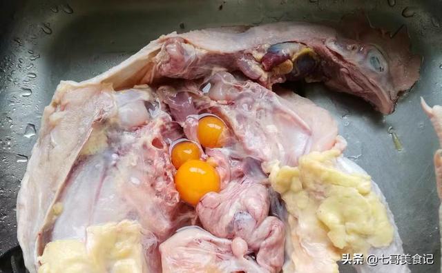 真事如图公鸡肚子里有蛋这是怎么回事真有下蛋公鸡吗公鸡真美丽课文