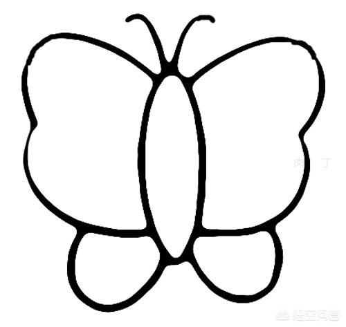 简笔画蝴蝶的简单画法图片