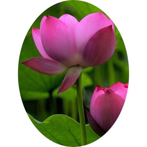 所以说,是朋友,不能只加微信好友,还得存了她的电话号码,还得知道她的