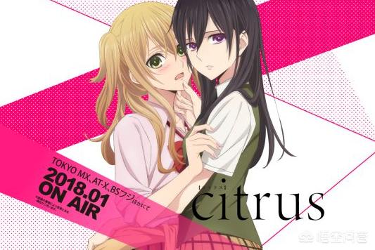 citrus动漫会不会出第二节