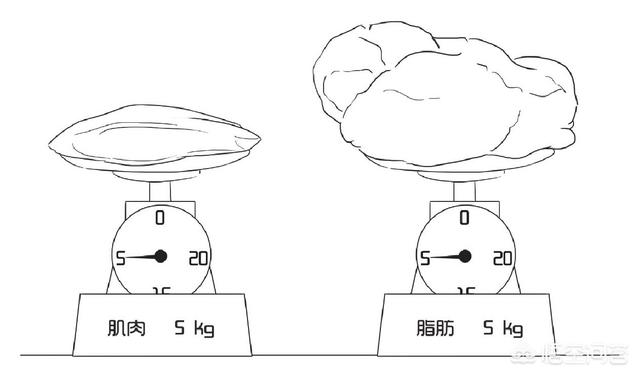 等,大家会觉得看上去很专业,但是不明白,那我们就简单举例来聊聊呗