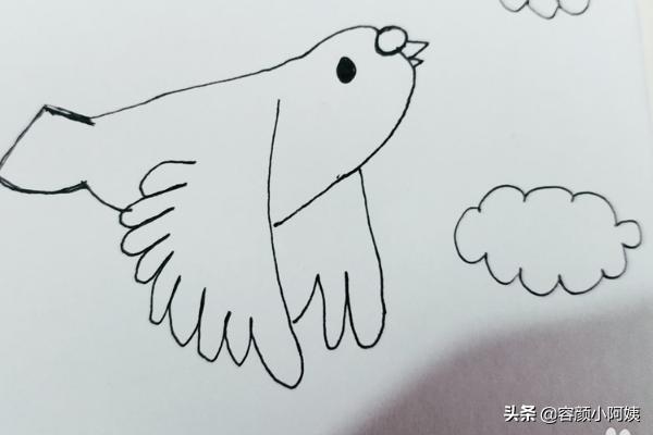 今天小编来为大家简单的画一只小鸟