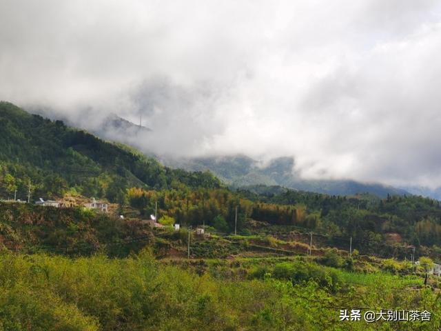 百莲凯美容养生会所,你们喜欢设计一个怎样的乡村民宿