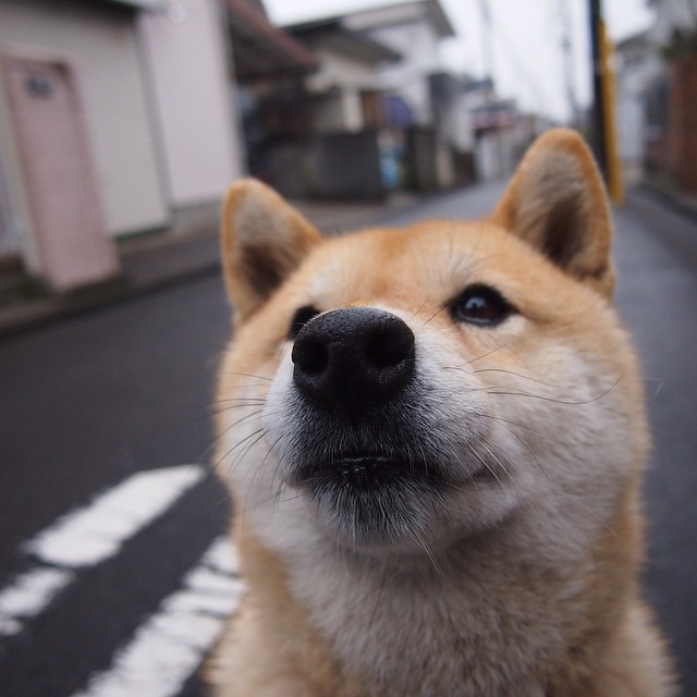 夏天不喝冰水可以养生,夏天喝凉白开水对身体有好处吗