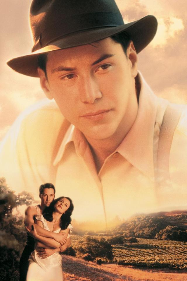 赶紧收藏,不输于《西西里的美丽传说》,一次推荐五部经典